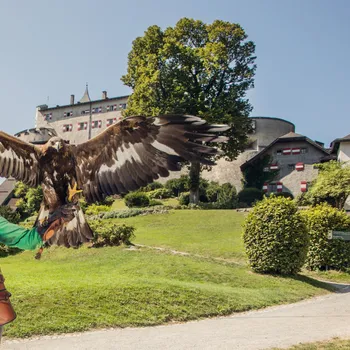 Ausflugsziele Ausflugsziele im Salzburger Land